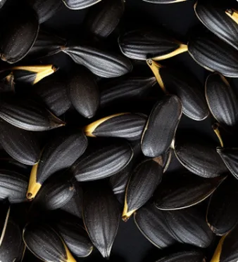 Agricultural and grain products