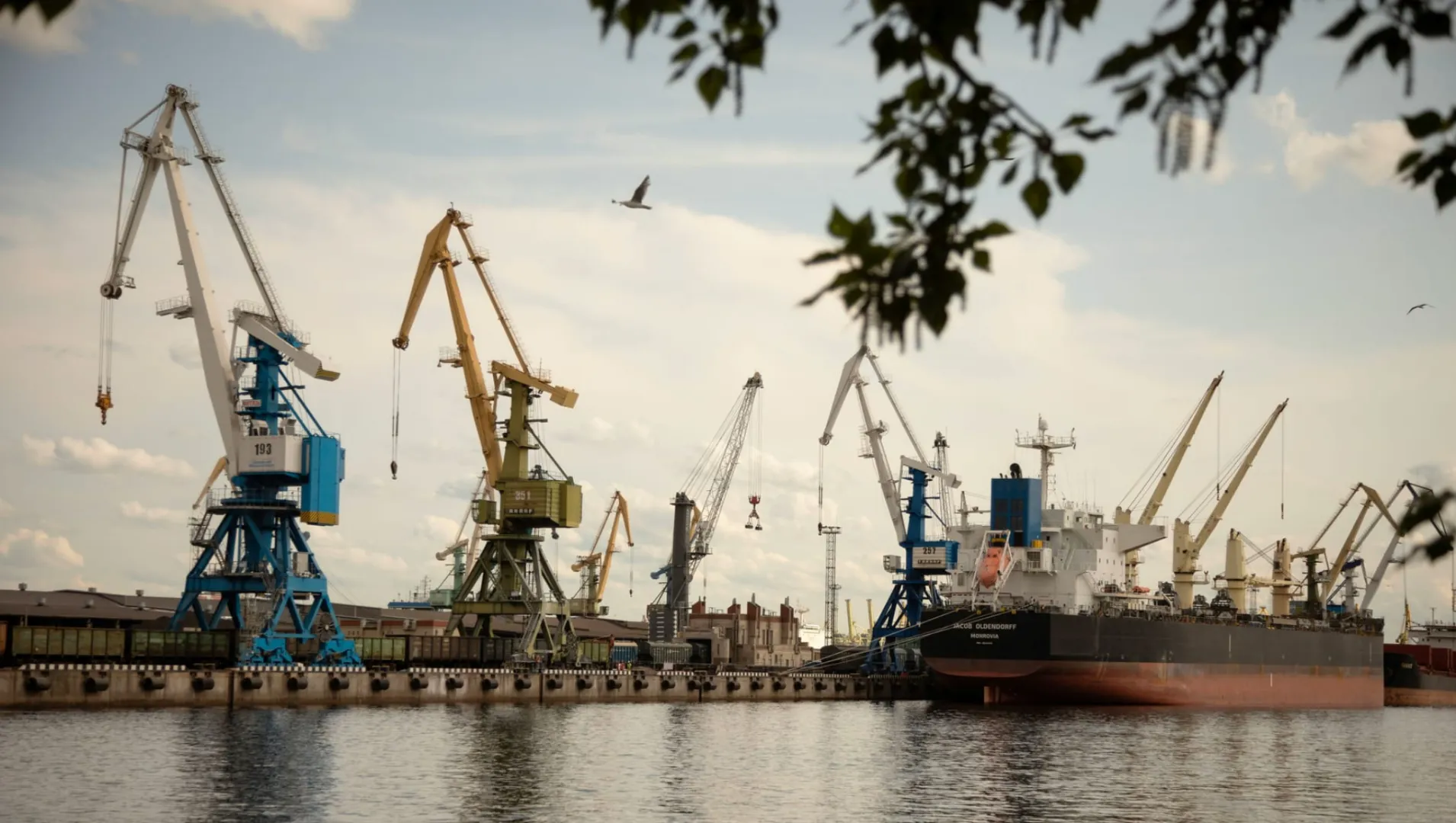 Bulk carrier cargo transportation via Saint Petersburg
